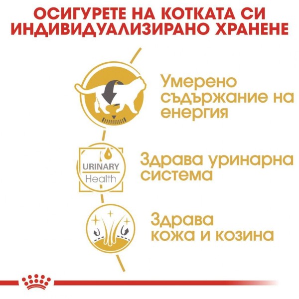 Royal Canin British Shorthair Adult Pouch - Пълноценна мокра храна в пауч за британски късокосмести котки в зряла възраст